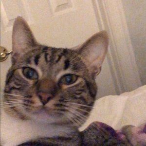 Meet your Posher, Mazzy